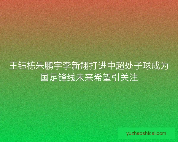 王钰栋朱鹏宇李新翔打进中超处子球成为国足锋线未来希望引关注