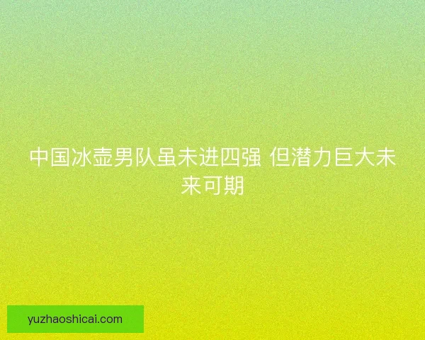 中国冰壶男队虽未进四强 但潜力巨大未来可期